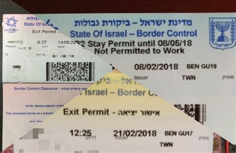 israeli immigration card online